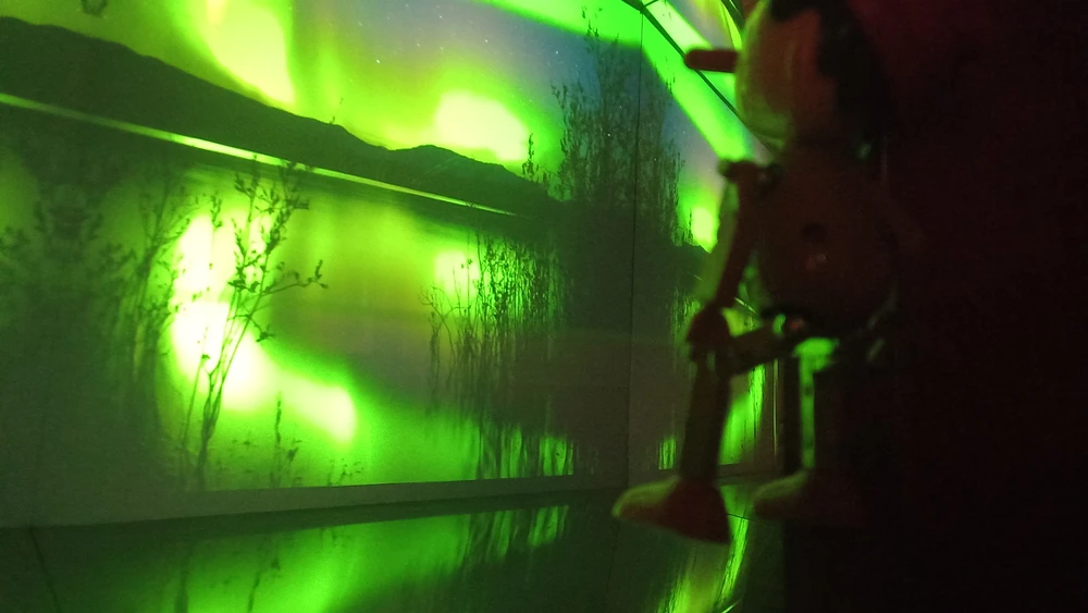 falseum-il-museo (4)