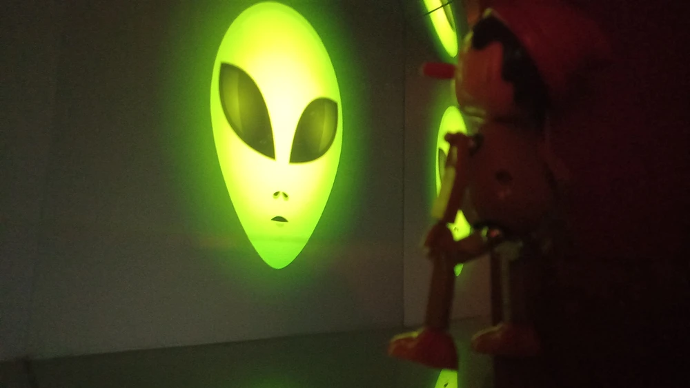 falseum-il-museo (5)