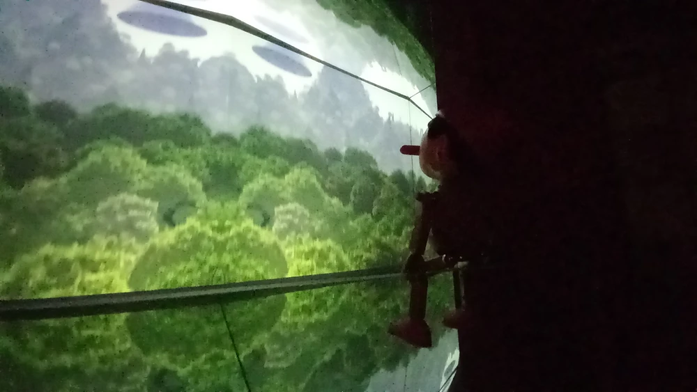 falseum-il-museo (8)